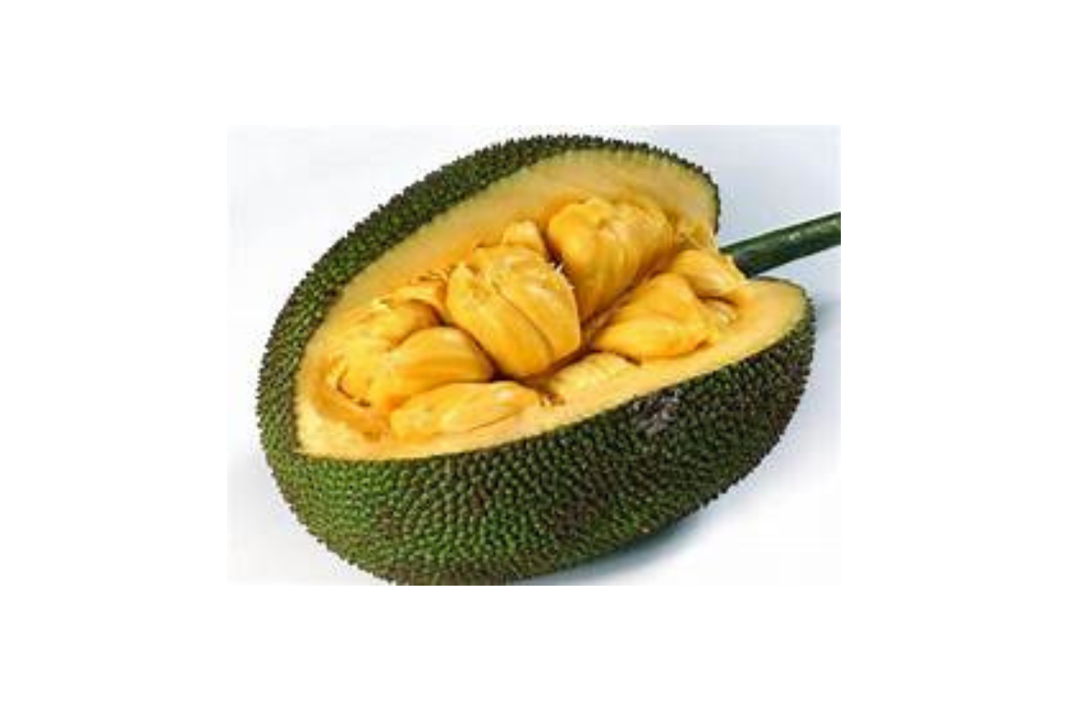 Jackfruit